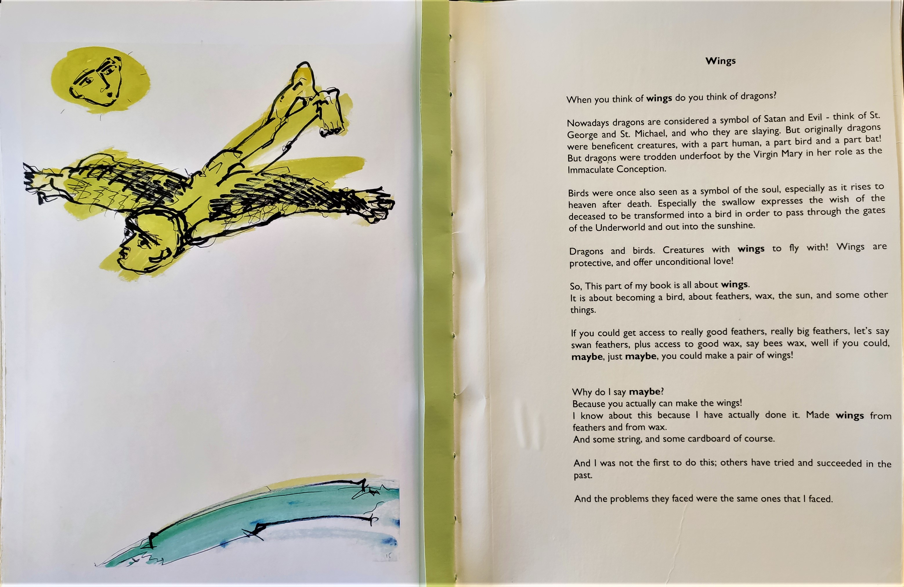 Flying Diving Book - open